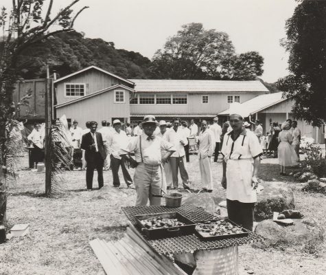 Copia-de-Escanear-88